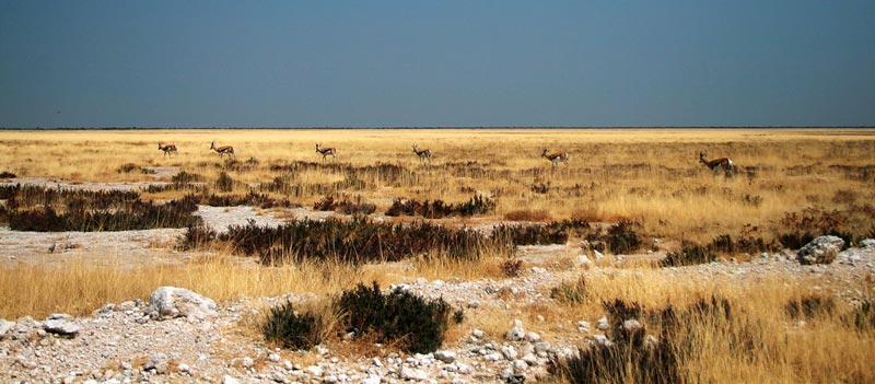 Etosha National Park 2